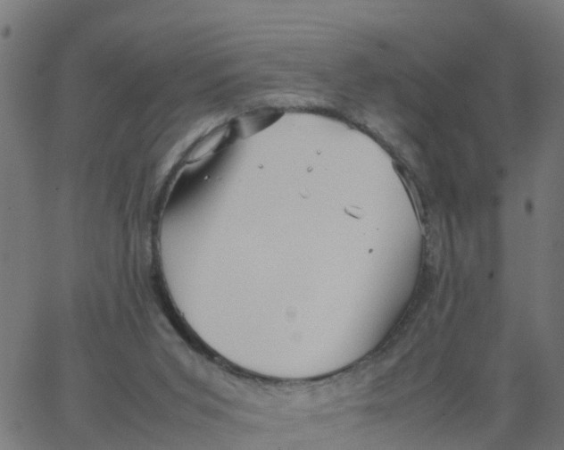 X0000066100015200603312037