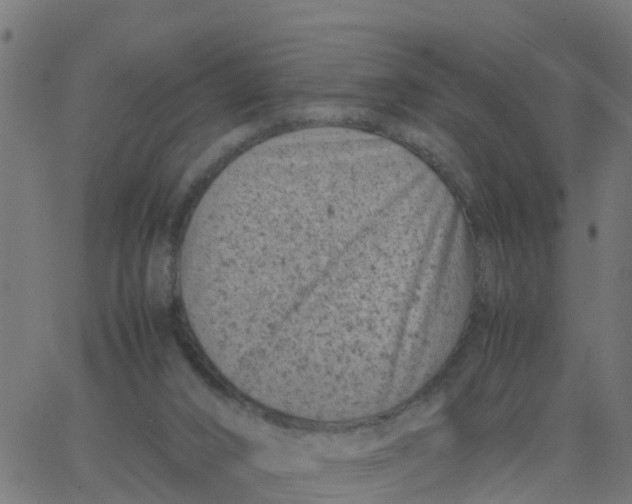 X0000066100016200603312037