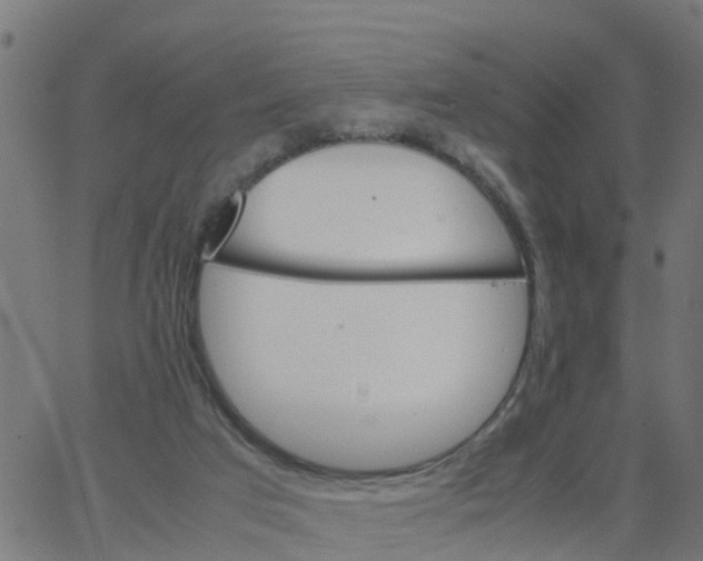 X0000066100017200603312037