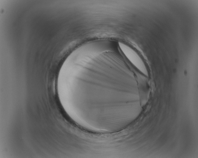 X0000066100019200603312036