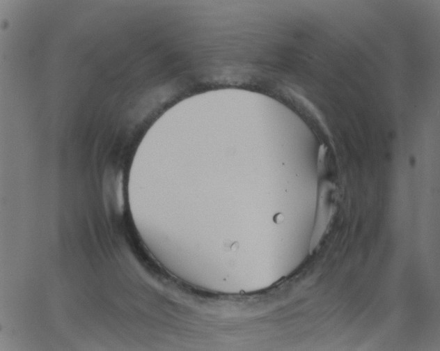 X0000066100020200603312036