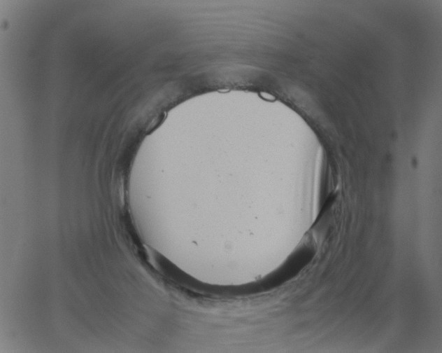 X0000066100021200603312036