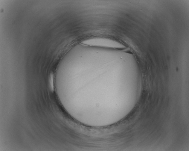 X0000066100022200603312036