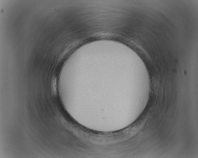 X0000066100024200603312036