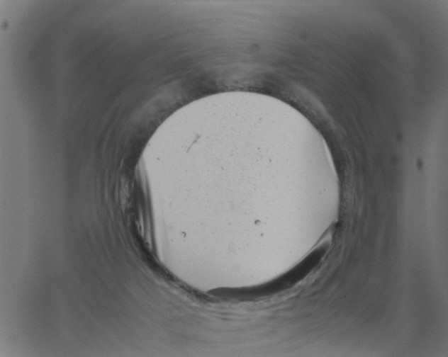 X0000066100025200603312036