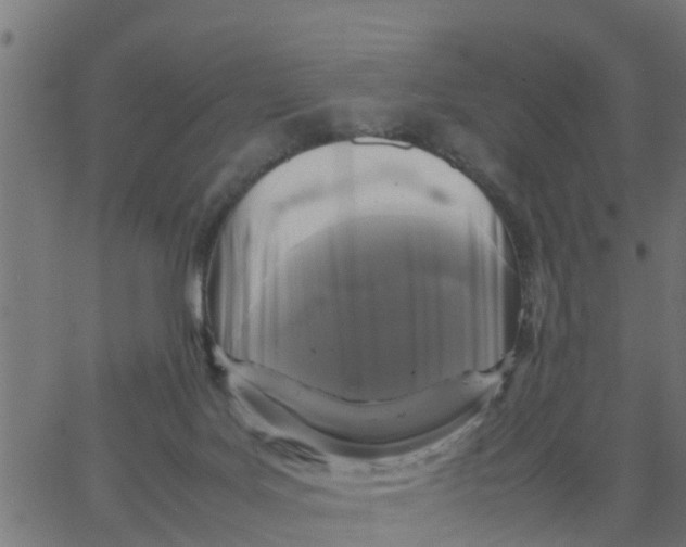 X0000066100027200603312036