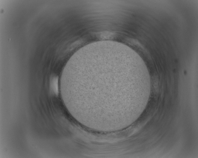 X0000066100028200603312036