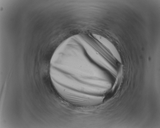 X0000066100033200603312036