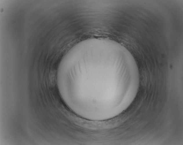 X0000066100034200603312036