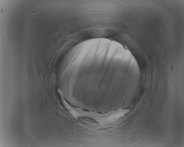 X0000066100035200603312036