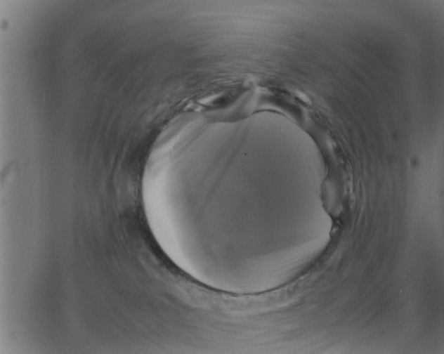 X0000066100039200603312036