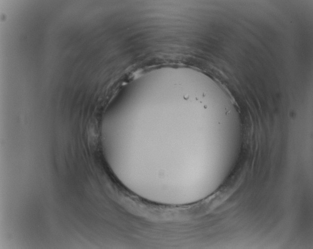 X0000066100040200603312036