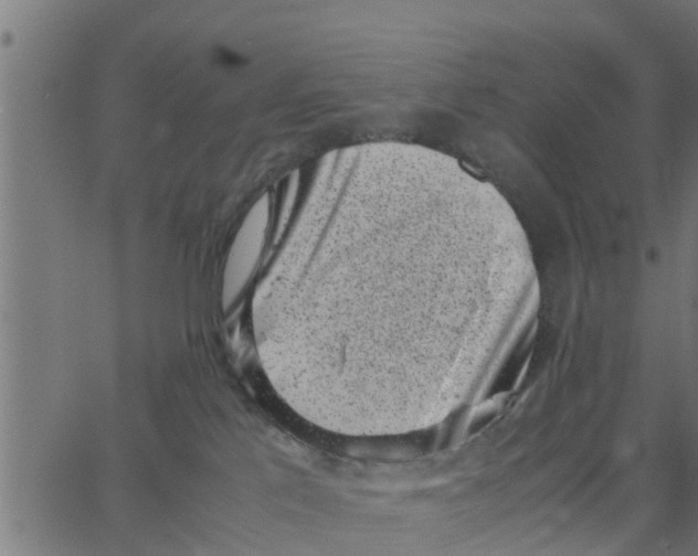 X0000066100041200603312036