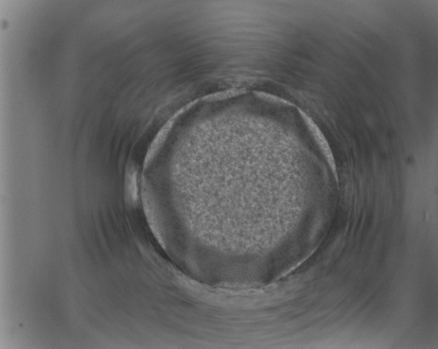 X0000066100042200603312036