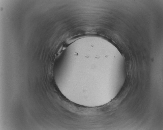 X0000066100044200603312036