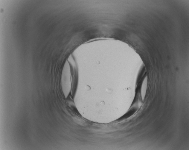 X0000066100045200603312036