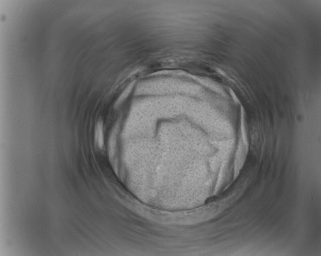 X0000066100046200603312036