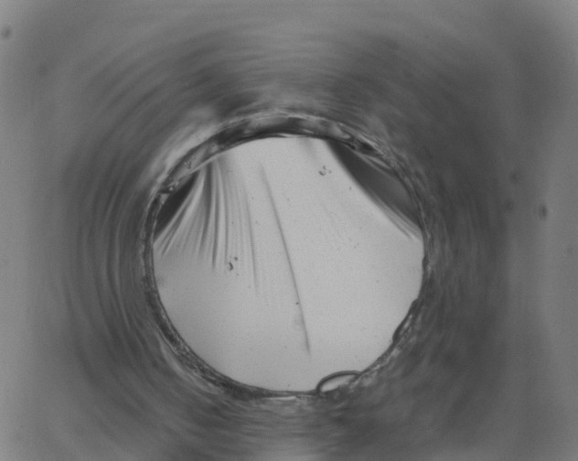 X0000066100050200603312035