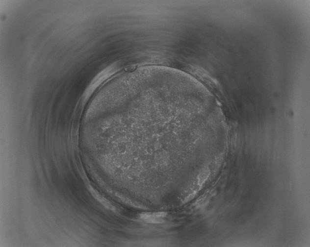 X0000066100051200603312035