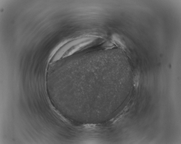 X0000066100052200603312035