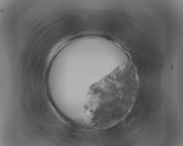 X0000066100053200603312035