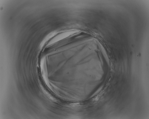 X0000066100054200603312035