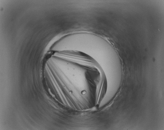 X0000066100056200603312035