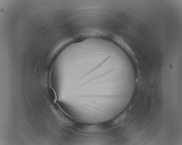 X0000066100058200603312035