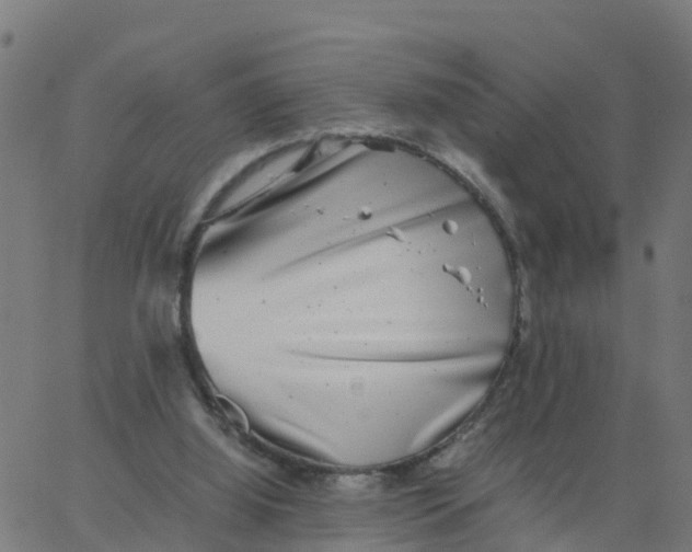 X0000066100060200603312035