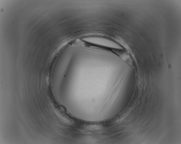 X0000066100063200603312035