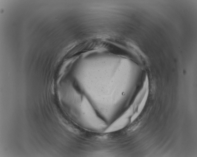 X0000066100068200603312036