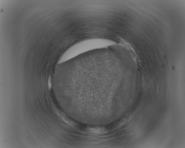 X0000066100069200603312036