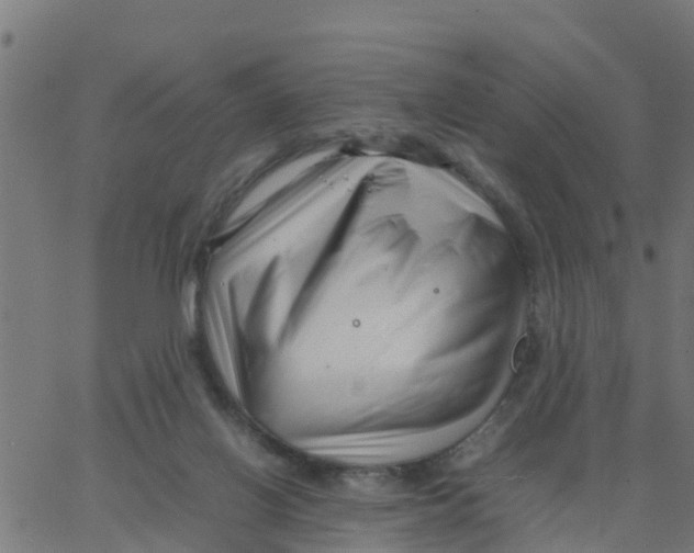 X0000066100070200603312036