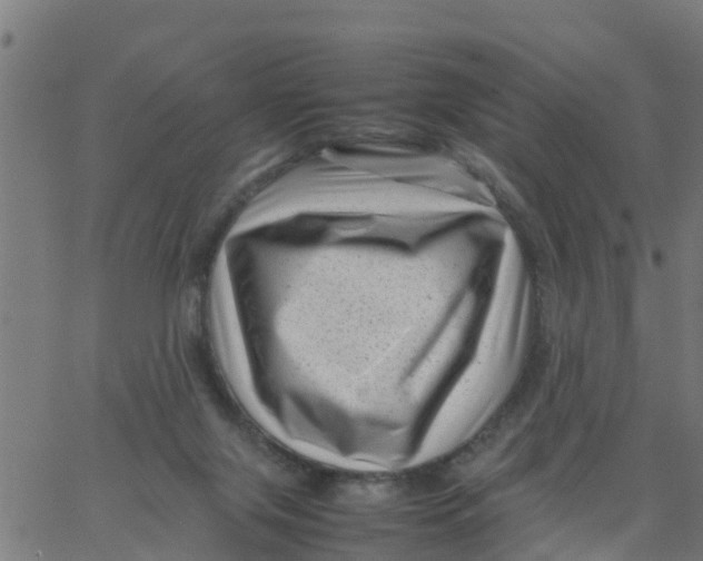 X0000066100071200603312036