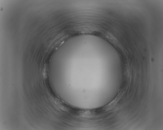 X0000066100074200603312036