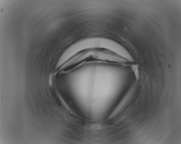 X0000066100075200603312036