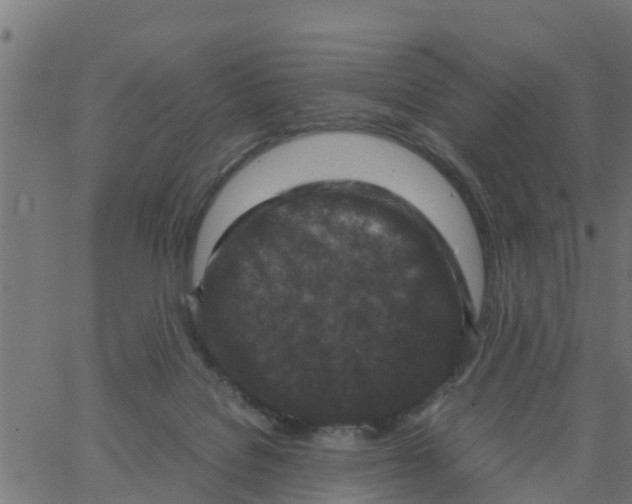 X0000066100076200603312036