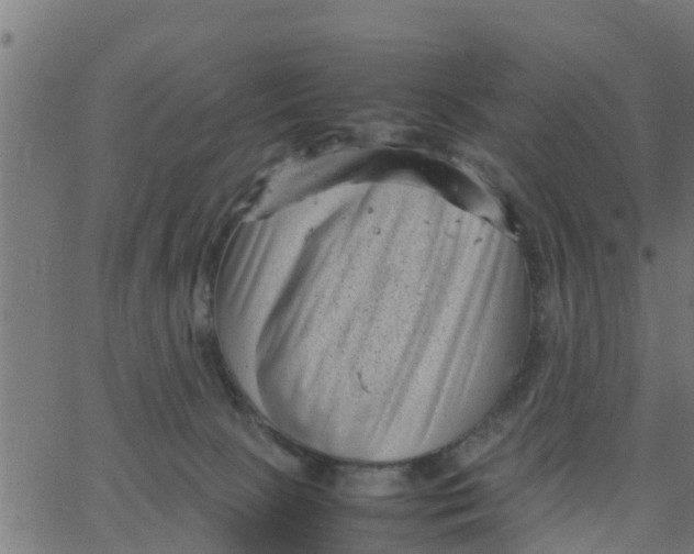 X0000066100081200603312036