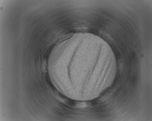 X0000066100083200603312036