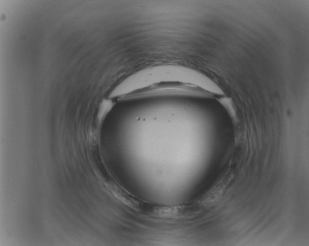 X0000066100084200603312036