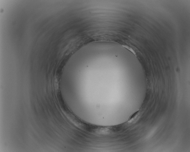 X0000066100086200603312036