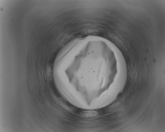 X0000066100087200603312036