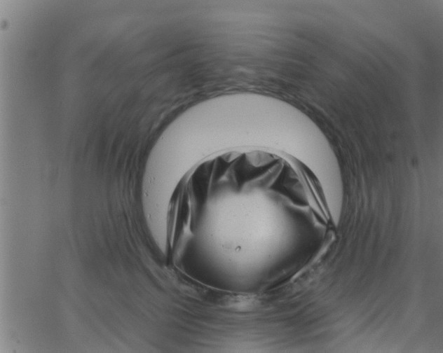 X0000066100088200603312036