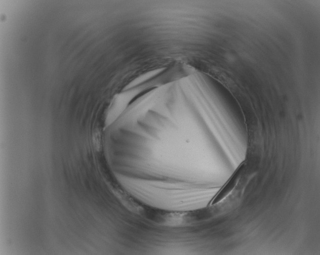 X0000066100090200603312036