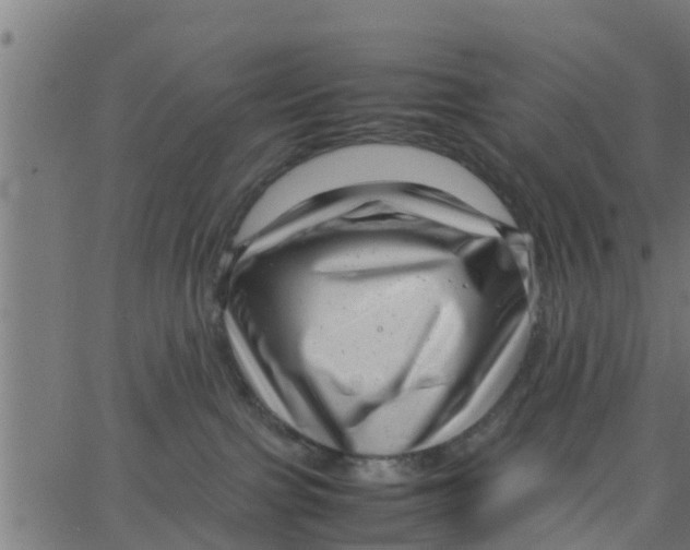 X0000066100091200603312036