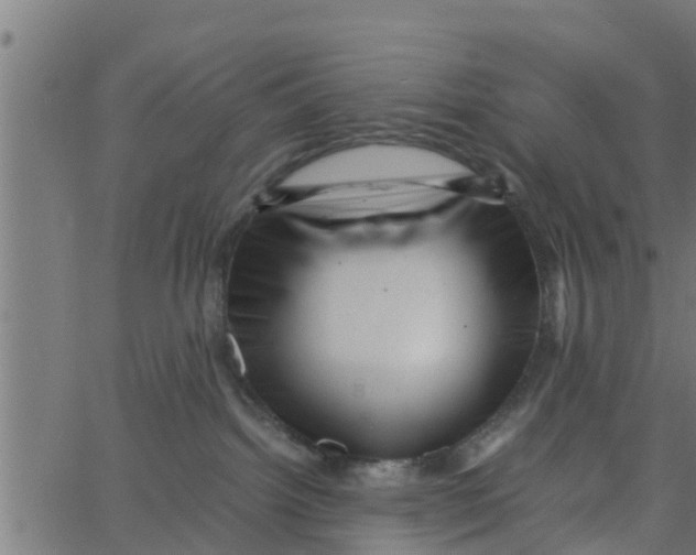 X0000066100092200603312036