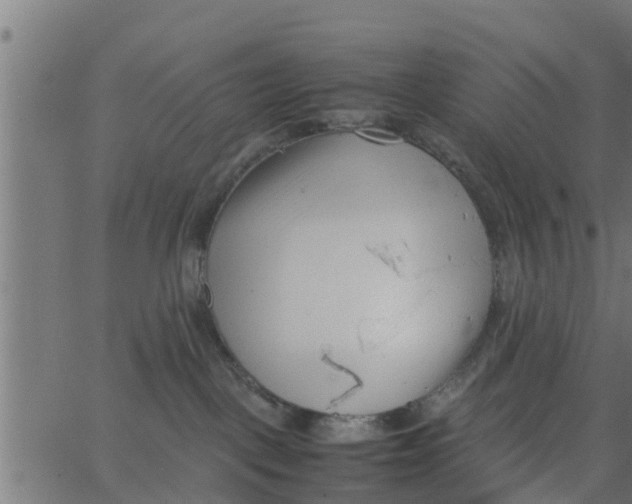 X0000066100093200603312036