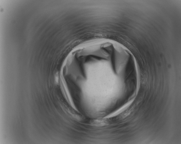 X0000066100095200603312036