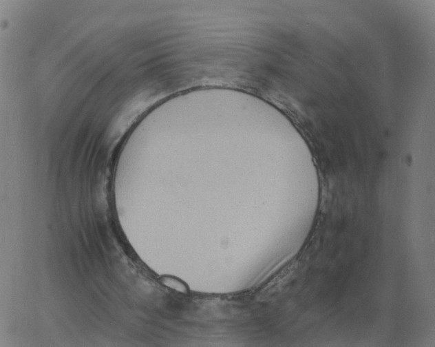 X0000066100098200603312035