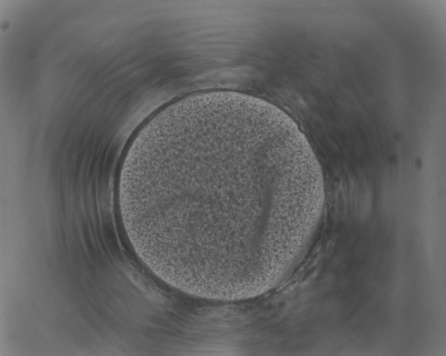 X0000066100100200603312035